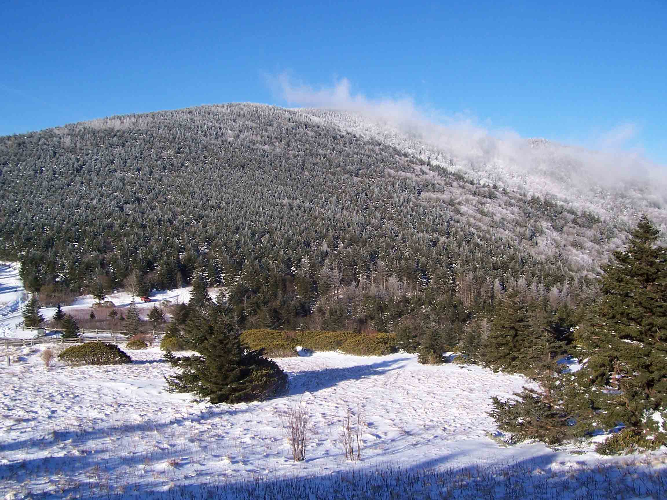 Roan Mountain, Mar 2005, taken from Round Bald (approx. MM 14.0). You can see my jeep parked at Carver's Gap.  Courtesy willey54@yahoo.com